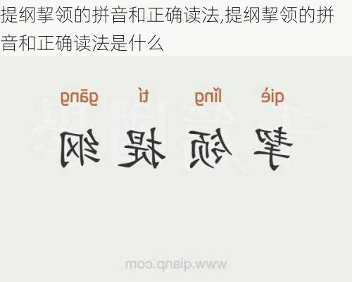 提纲挈领的拼音和正确读法,提纲挈领的拼音和正确读法是什么