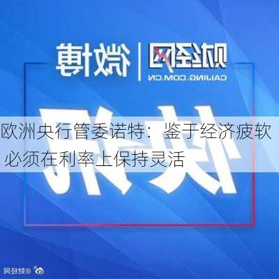 欧洲央行管委诺特：鉴于经济疲软 必须在利率上保持灵活