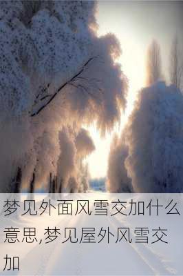 梦见外面风雪交加什么意思,梦见屋外风雪交加