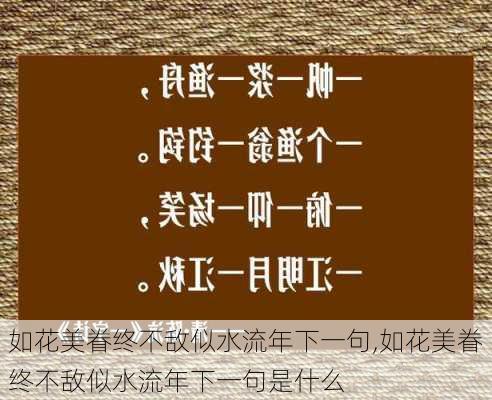 如花美眷终不敌似水流年下一句,如花美眷终不敌似水流年下一句是什么