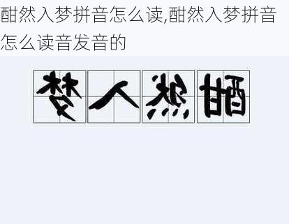 酣然入梦拼音怎么读,酣然入梦拼音怎么读音发音的