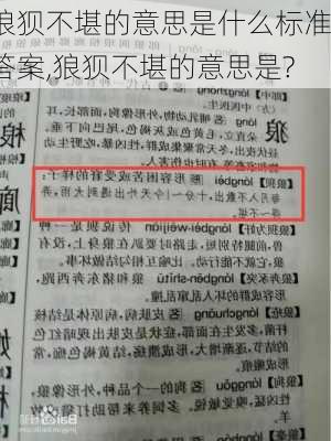 狼狈不堪的意思是什么标准答案,狼狈不堪的意思是?