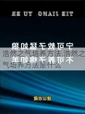 浩然之气培养方法,浩然之气培养方法是什么