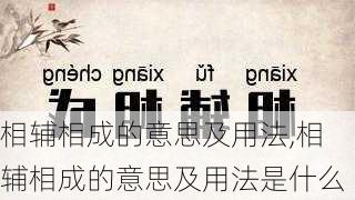 相辅相成的意思及用法,相辅相成的意思及用法是什么