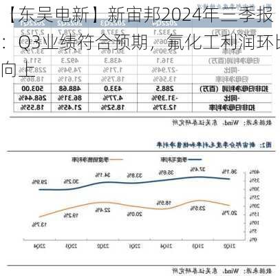 【东吴电新】新宙邦2024年三季报：Q3业绩符合预期，氟化工利润环比向上