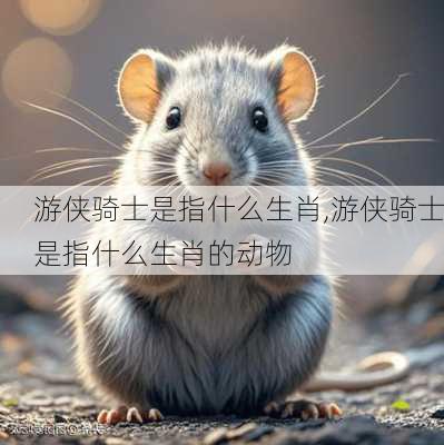 游侠骑士是指什么生肖,游侠骑士是指什么生肖的动物