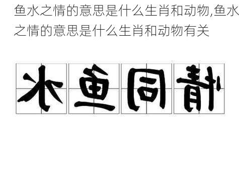 鱼水之情的意思是什么生肖和动物,鱼水之情的意思是什么生肖和动物有关