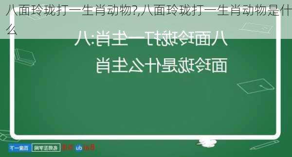 八面玲珑打一生肖动物?,八面玲珑打一生肖动物是什么