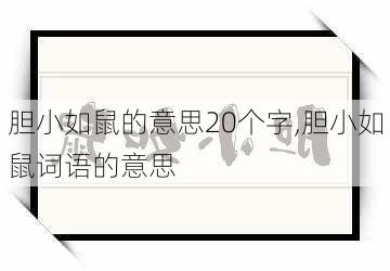 胆小如鼠的意思20个字,胆小如鼠词语的意思