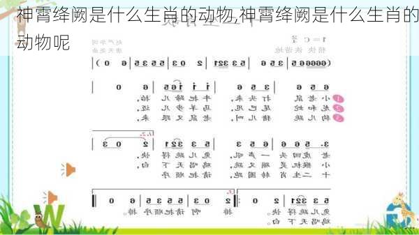 神霄绛阙是什么生肖的动物,神霄绛阙是什么生肖的动物呢