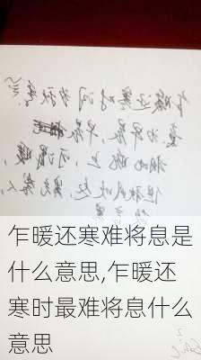 乍暖还寒难将息是什么意思,乍暖还寒时最难将息什么意思