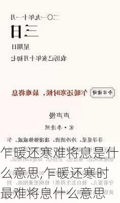 乍暖还寒难将息是什么意思,乍暖还寒时最难将息什么意思