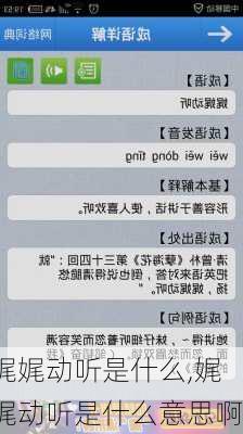 娓娓动听是什么,娓娓动听是什么意思啊