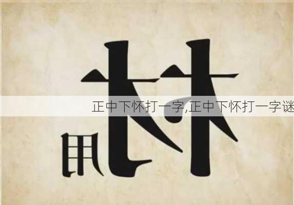 正中下怀打一字,正中下怀打一字谜