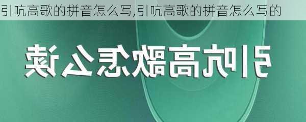 引吭高歌的拼音怎么写,引吭高歌的拼音怎么写的