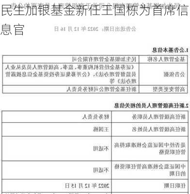 民生加银基金新任王国栋为首席信息官