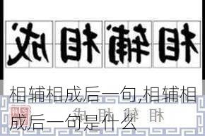 相辅相成后一句,相辅相成后一句是什么