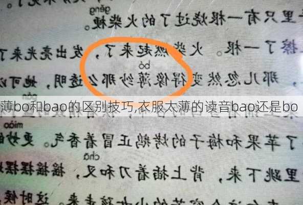 薄bo和bao的区别技巧,衣服太薄的读音bao还是bo