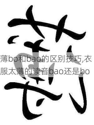 薄bo和bao的区别技巧,衣服太薄的读音bao还是bo