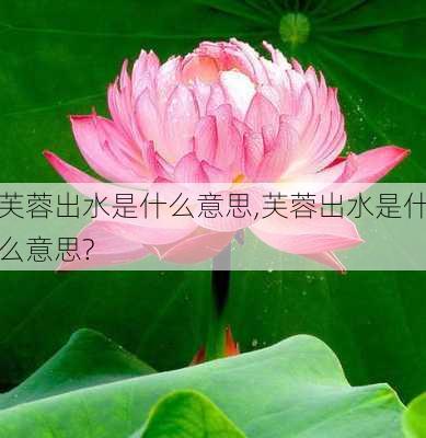 芙蓉出水是什么意思,芙蓉出水是什么意思?