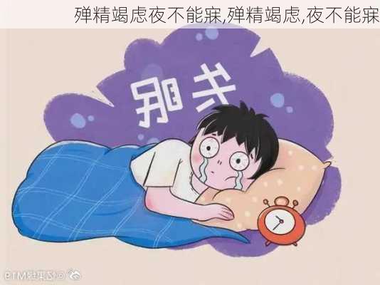 殚精竭虑夜不能寐,殚精竭虑,夜不能寐