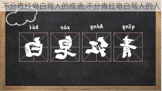 不分青红皂白骂人的成语,不分青红皂白骂人的人