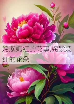 姹紫嫣红的花事,姹紫嫣红的花朵