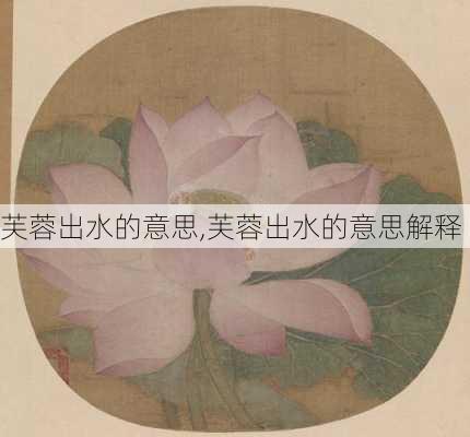 芙蓉出水的意思,芙蓉出水的意思解释