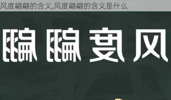 风度翩翩的含义,风度翩翩的含义是什么