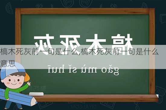 槁木死灰前一句是什么,槁木死灰前一句是什么意思