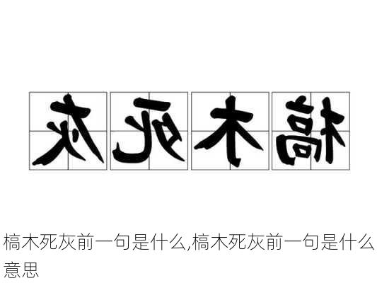 槁木死灰前一句是什么,槁木死灰前一句是什么意思