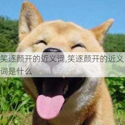 笑逐颜开的近义词,笑逐颜开的近义词是什么