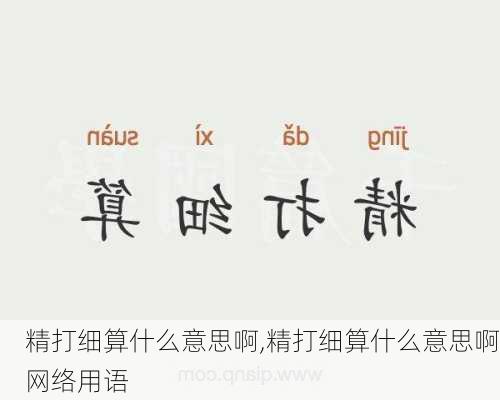 精打细算什么意思啊,精打细算什么意思啊网络用语