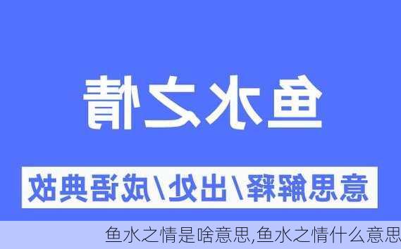 鱼水之情是啥意思,鱼水之情什么意思