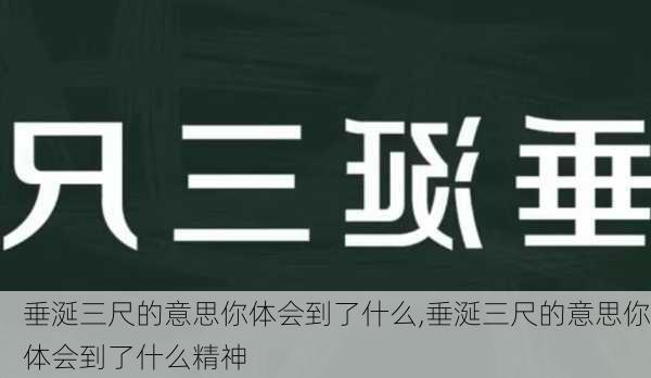 垂涎三尺的意思你体会到了什么,垂涎三尺的意思你体会到了什么精神