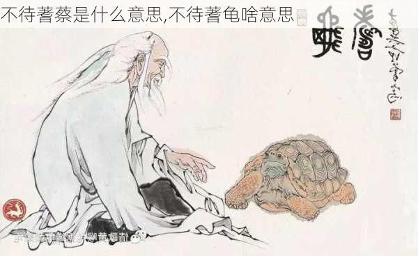 不待蓍蔡是什么意思,不待蓍龟啥意思