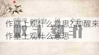 作壁上观什么意思?,却醒来作壁上观什么意思