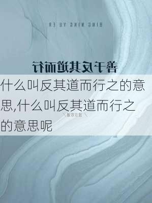 什么叫反其道而行之的意思,什么叫反其道而行之的意思呢