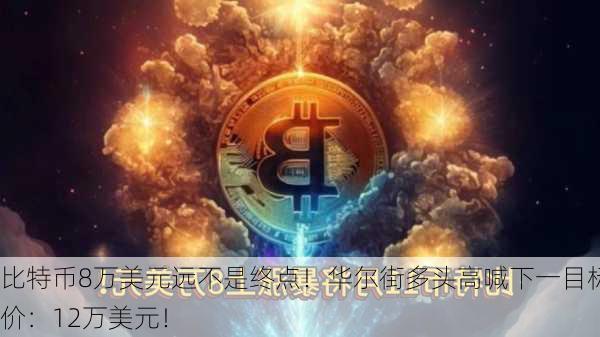 比特币8万美元远不是终点！华尔街多头高喊下一目标价：12万美元！