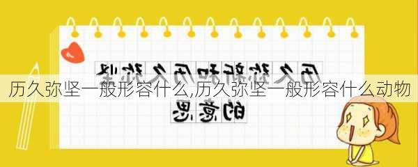 历久弥坚一般形容什么,历久弥坚一般形容什么动物