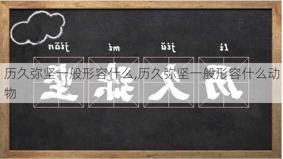 历久弥坚一般形容什么,历久弥坚一般形容什么动物