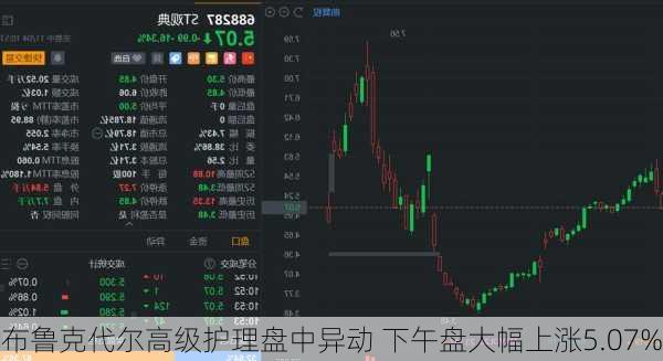 布鲁克代尔高级护理盘中异动 下午盘大幅上涨5.07%