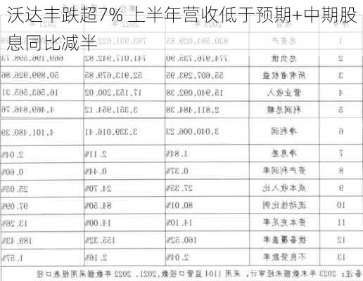 沃达丰跌超7% 上半年营收低于预期+中期股息同比减半