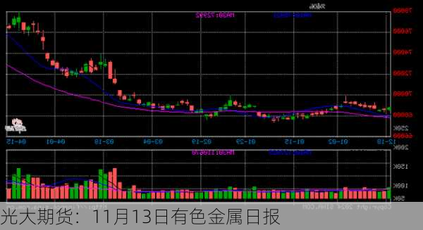 光大期货：11月13日有色金属日报