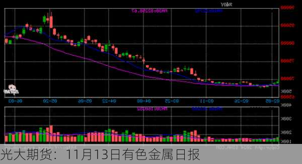 光大期货：11月13日有色金属日报