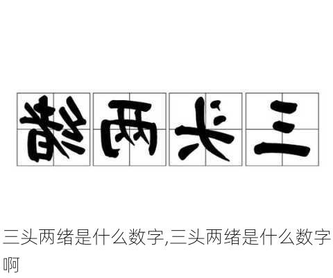 三头两绪是什么数字,三头两绪是什么数字啊