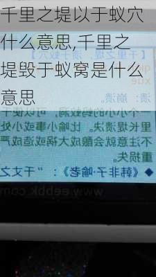 千里之堤以于蚁穴什么意思,千里之堤毁于蚁窝是什么意思