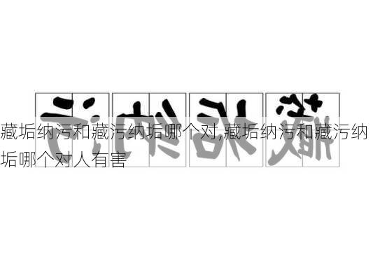 藏垢纳污和藏污纳垢哪个对,藏垢纳污和藏污纳垢哪个对人有害