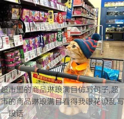 超市里的商品琳琅满目仿写句子,超市的商品琳琅满目看得我眼花缭乱写一段话