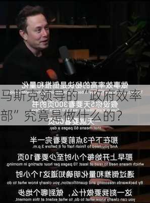 马斯克领导的“政府效率部”究竟是做什么的？